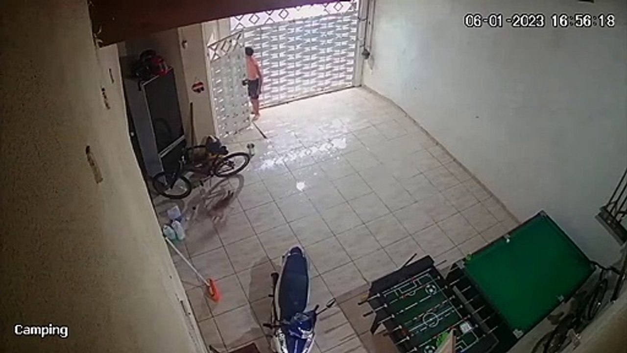 Doggos glissants et glissants - Buzz Buddy