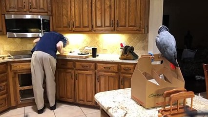 Jeff se cogne la tête - Buzz Buddy