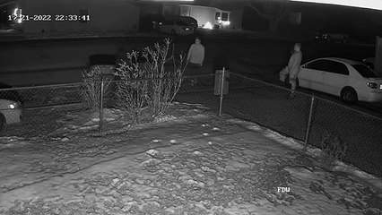 Un cerf tombe sur mon fils dans l'allée - Buzz Buddy