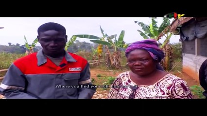 Agriculture : a way out of poverty and youth unemployment of February 3, 2023