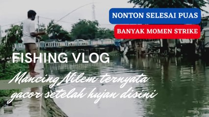 Mancing Nilem Ternyata Gacor Setelah Hujan Disini