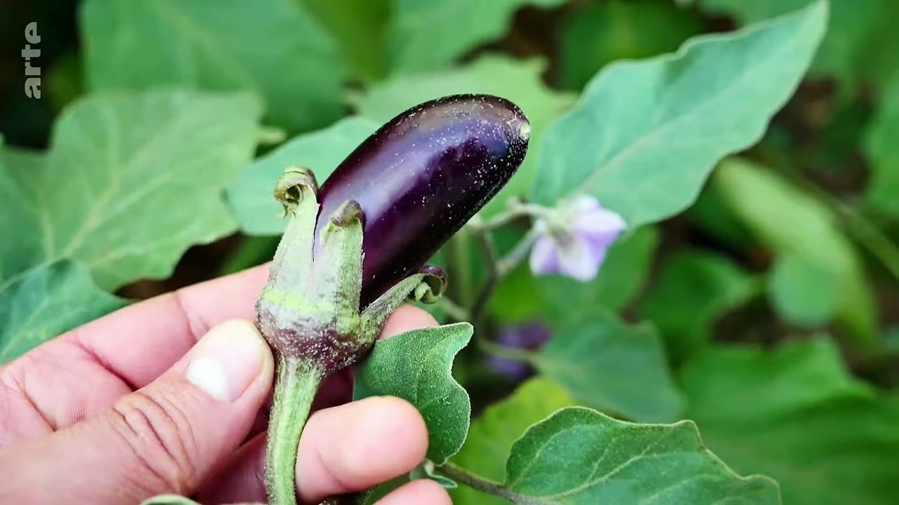 Stecken wir in einer #spermakrise