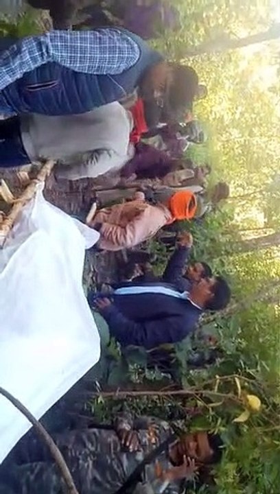 tiger attack