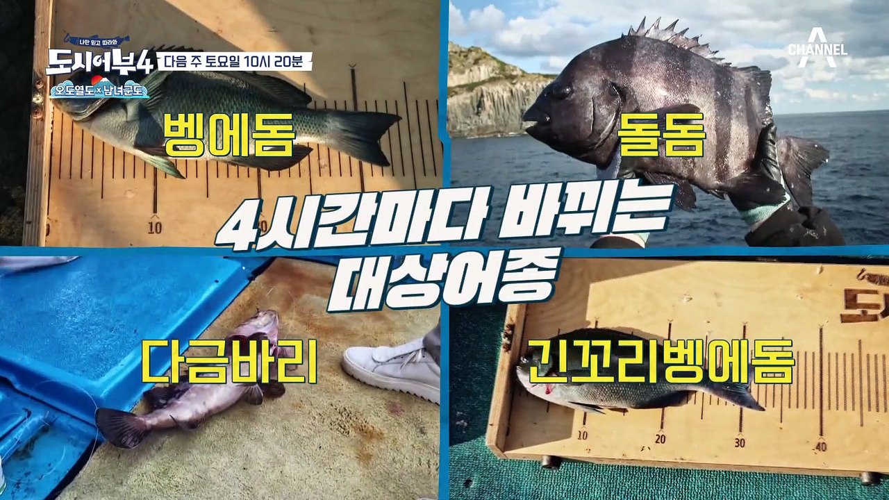 [다음이야기] 도시어부 역대급 대물 등장? 고기가 바글바글♨ 남녀 군도 대물 전쟁!