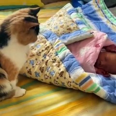 Don't you wory little baby - I 'll be taking care.