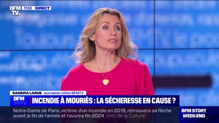 Sécheresse, mistral: les causes de l'incendie en plein hiver à Mouriès
