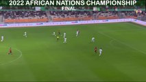 CHAN 2022 Final | Algeria vs Senegal | Dessert Foxes And Teranga Lions Journey To Final | Pre-match Analysis