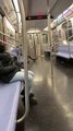 Dans le métro de New York, les rats sont vos amis