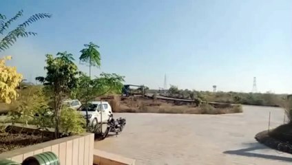 ABP kota : शावक स्वस्थ, रखा जा रहा विशेष ध्यान