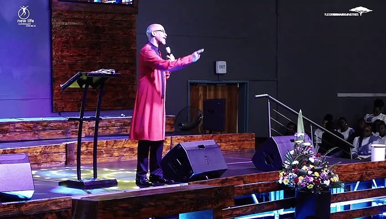 Bishop Tudor Bismark  Grow Your Tree