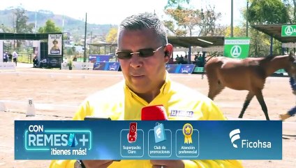 ¡Juzgamiento de ganado y caballos, entre lo que puede disfrutar este fin de semana en AGAFAM!