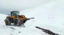 Siirt'te yoğun kar yağışı nedeniyle köy yolları ulaşıma kapandı