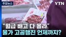 월급 빼고 다 오른다...물가 고공행진 언제까지? / YTN