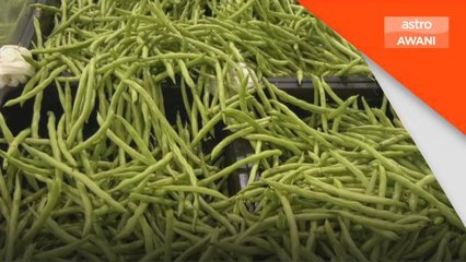 Kekurangan Sayur | LPP dan FAMA diarah lakukan intervensi segera