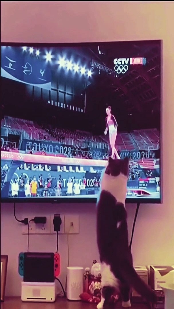 ⁣Funniest animalsIn tiktok  Funny and Fails Pets Video