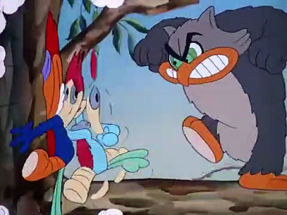 Pica Pau Biruta