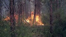 Incendios en Chile no ceden y ya dejan 23 muertos