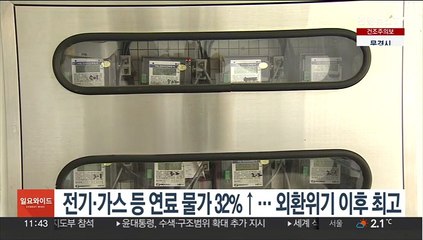전기·가스 등 연료물가 32%↑…외환위기 이후 최고