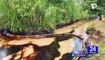 Amazonas: Petroperú denuncia nuevo ataque contra Oleoducto Norperuano