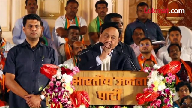 घरात मंत्रिपद, आमदारकी.. तरीही राणेंची भाजपत अडचण.. असं का?