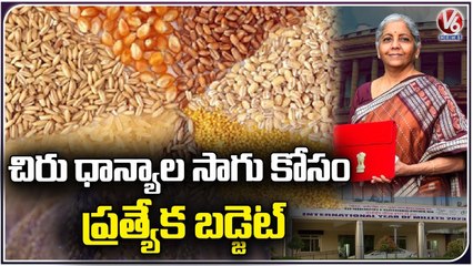 Central Govt Approved Special Budget For Cultivation Of Small Grains | IIMR | V6 News