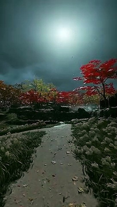 Night_Scenery