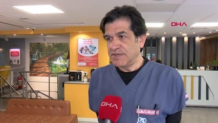 İsviçreli diplomat, kaybolan kedisine çiple kavuştu