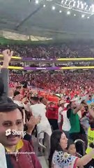 Canada Morocco, Qatar 2022 FIFA World cup- celebration of the fans after the goal