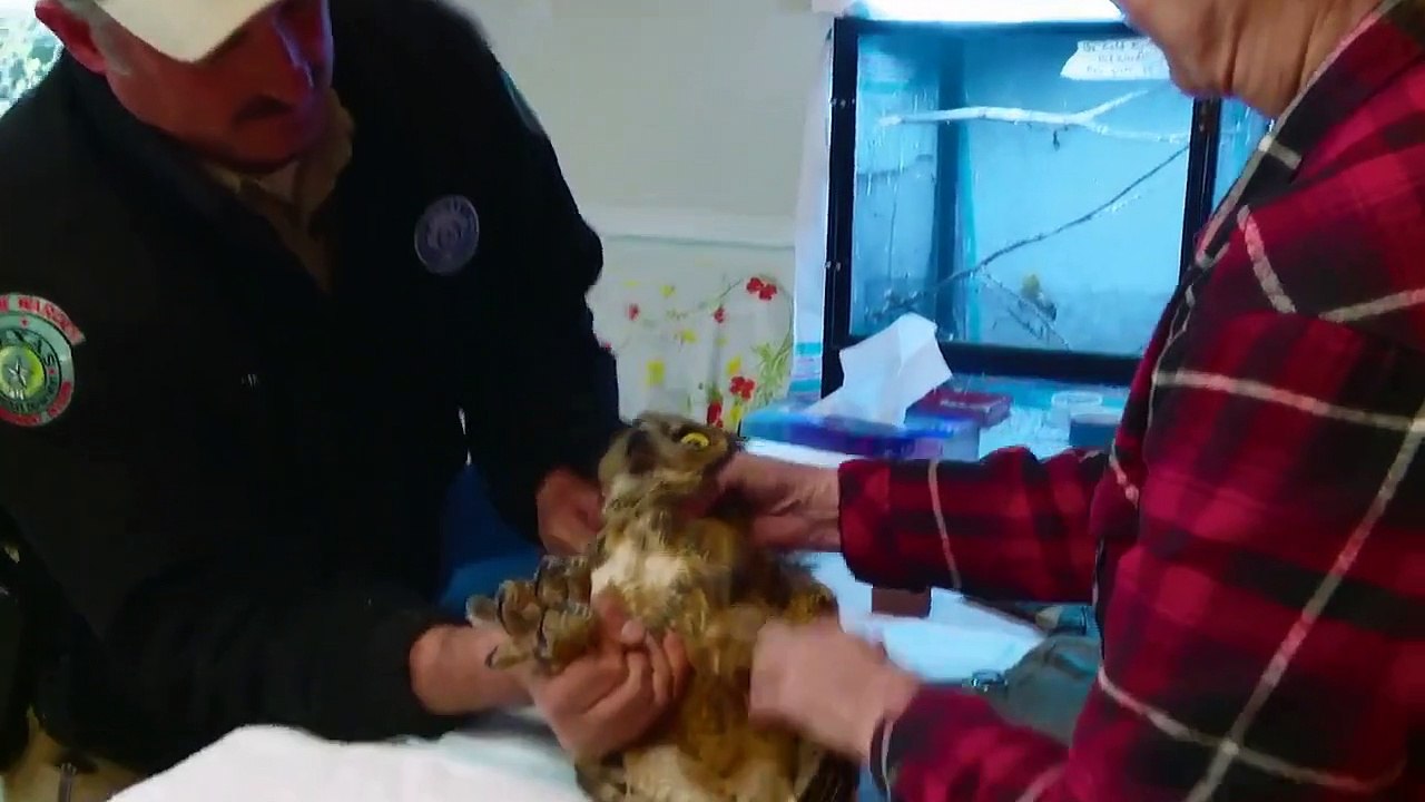 Lone Star Law - Se5 - Ep10 - Finding a Felon HD Watch