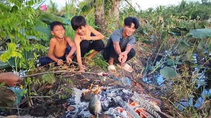 Săn Cua Khủng Trong Đồng Ruộng Sen Bỏ Hoang | Sinh Tồn 360H P2 🦀