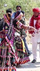 Sidharth Malhotra's Guests Reached Jaisalmer Airport