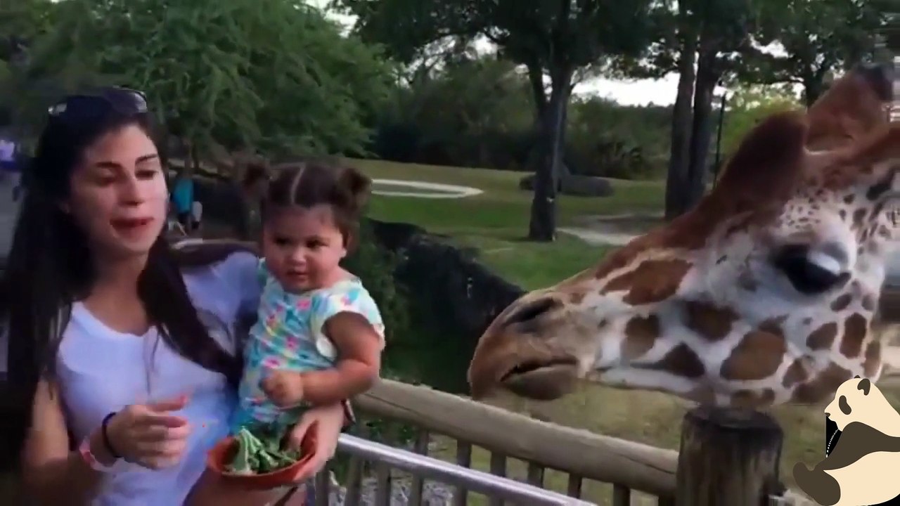 Kids funny videos in zoo - ULTIMATE Epic Kids Fail Compilation - Video ...