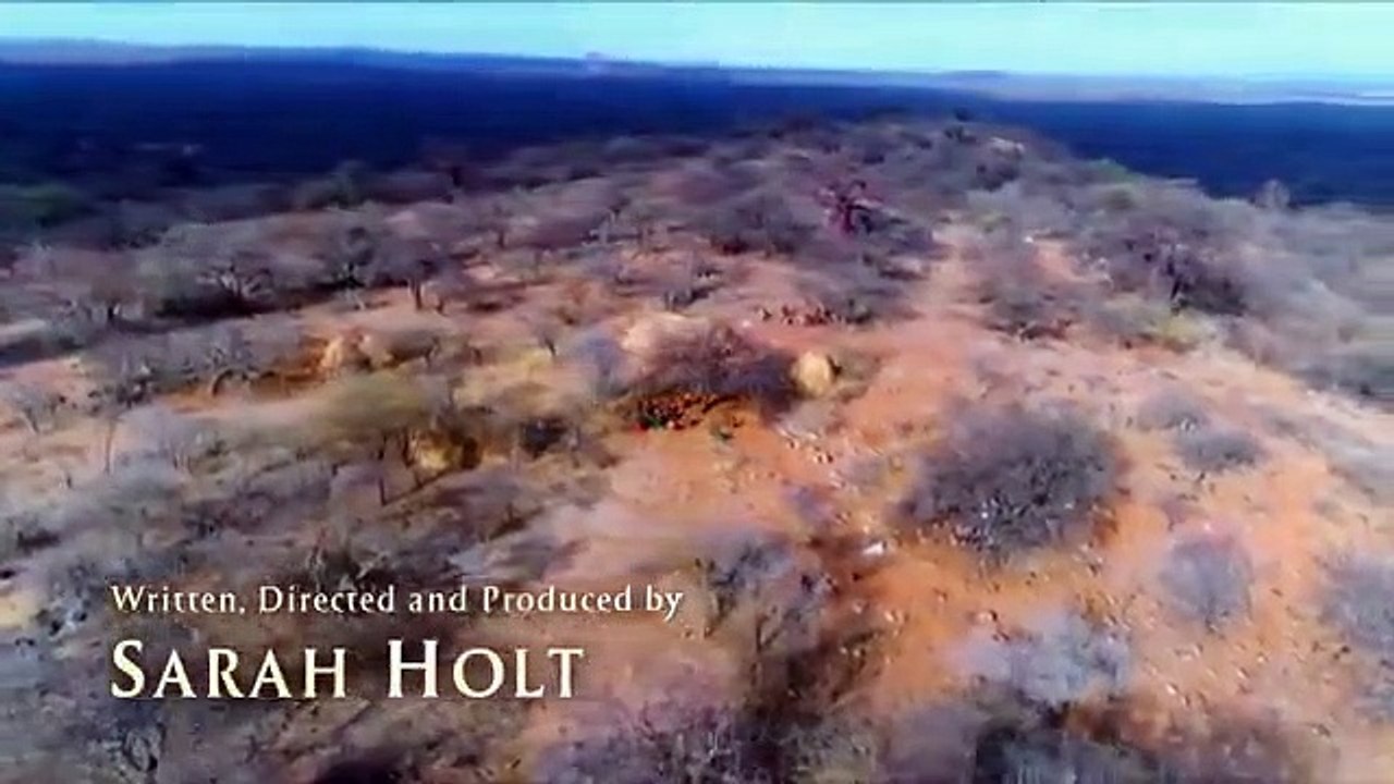 Nova - Se47 - Ep06 - The Truth About Fat HD Watch