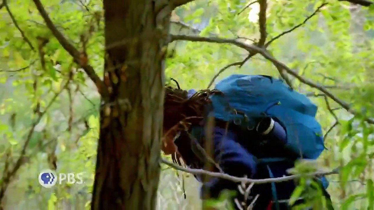 Nova - se47 - ep10 - secret mind of slime hd watch