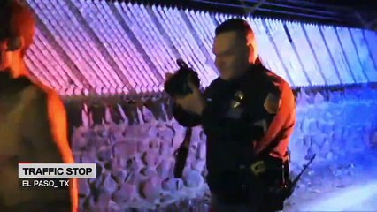 Live PD - Se2 - Ep10 - 11.04.17 HD Watch - Part 01