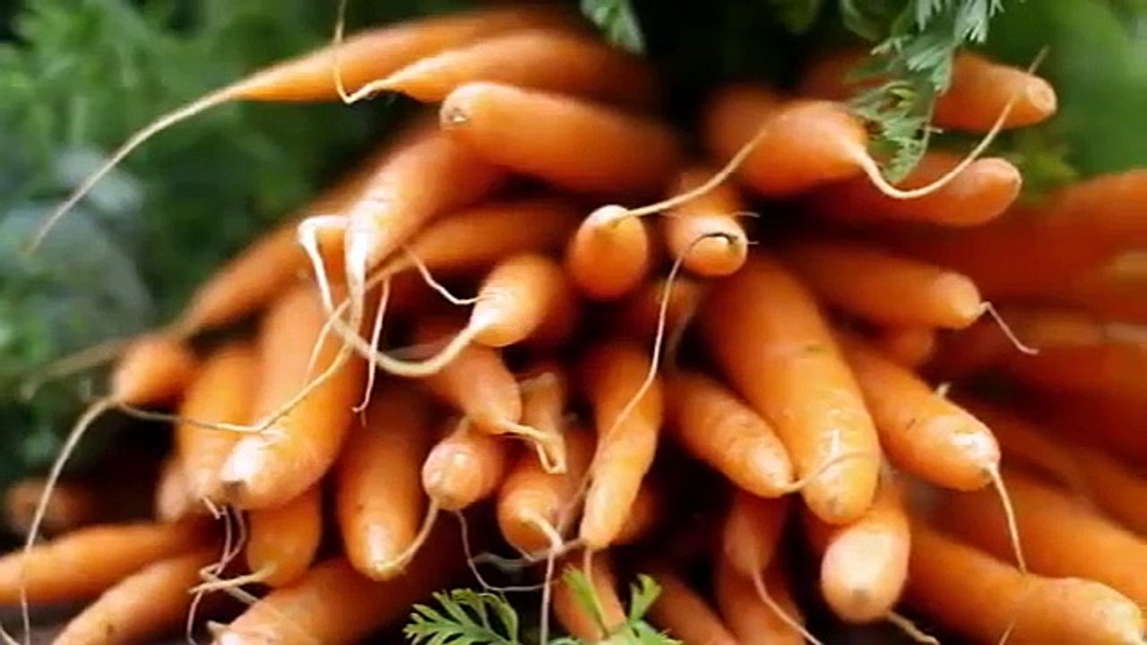 The Mind Of A Chef- Se5 - Ep04 HD Watch