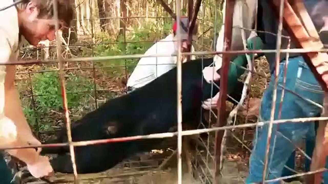 Lone Star Law - Se5 - Ep02 - Stray Bullets HD Watch