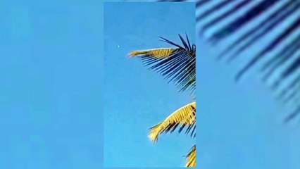 La Fuerza Aérea de Colombia registra el paso de un globo en su espacio aéreo