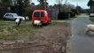 Sheep escaped in Sapiston, Suffolk