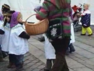 1er Février  2008 Carnaval de l'école