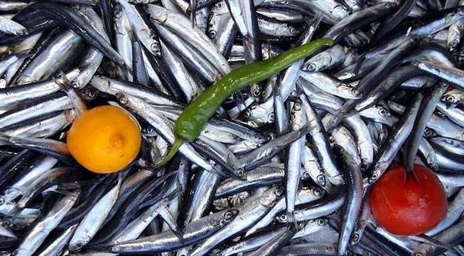 Karadeniz bunu da gördü! Kilosu 75 liradan satılıyor