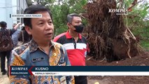 Pohon Tua di Sekolah Tumbang Menimpa Lapangan