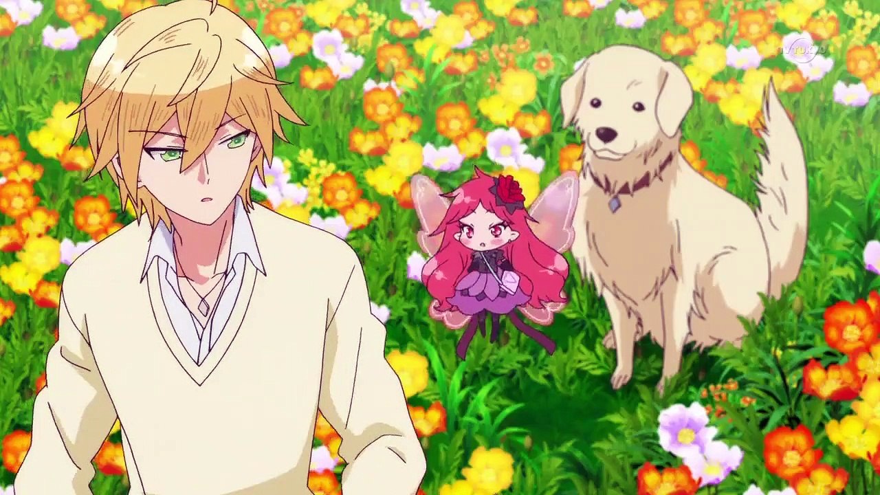 Rilu Rilu Fairilu - Yousei no Door - Ep36 HD Watch