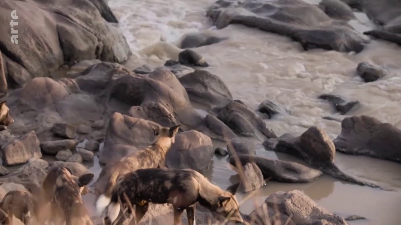 Kenya - Au rythme des pluies : Terre et poussière