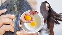 बालों में अंडे का पीला भाग लगाने से क्या होता है | बालों में अंडे का पीला भाग लगाने के फायदे