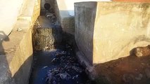 त्रिवेणी संगम में नगर का गंदा पानी हो रहा समाहित