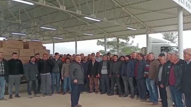 Muğlalı Tütün Üreticileri, Tüccarın Düşük Fiyat Vermesini Protesto Etti: 70 TL'ye Tütün Vermeyeceğiz