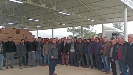 Muğlalı Tütün Üreticileri, Tüccarın Düşük Fiyat Vermesini Protesto Etti: "70 TL'ye Tütün Vermeyeceğiz"