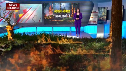 Jungle Fire : आग से धधक रहे हैं दुनिया भर के जंगल, चिली के जंगलों में आग का तांडव
