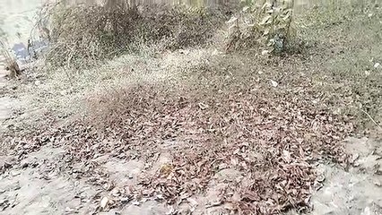 दिया तले अंधेरा